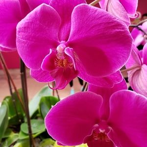 Meet your Posher, Wojciech